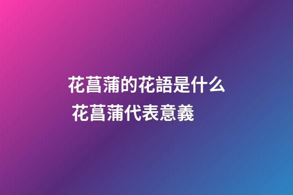 花菖蒲的花語是什么 花菖蒲代表意義